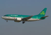 Filename=AERLINGUS_737-500_EI-CDD_BRU_0802_JP_small.jpg
Filesize=83KiB
Dimensions=1000x695
Date added=Mar 17, 2013 AERLINGUS_737-500_EI-CDD_BRU_0802_JP_small.jpg
