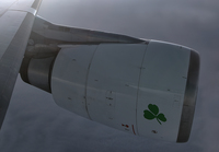 Filename=AERLINGUS_A330-300_EI-EAV_EWRDUB_0817_16_JP_small.jpg
Filesize=889KiB
Dimensions=1400x973
Date added=Dec 06, 2017 AERLINGUS_A330-300_EI-EAV_EWRDUB_0817_16_JP_small.jpg