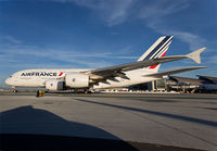 Filename=AIRFRANCE_A380_F-HPJE_LAX_1113D_JP_small.jpg
Filesize=151KiB
Dimensions=1000x695
Date added=Nov 30, 2013 AIRFRANCE_A380_F-HPJE_LAX_1113D_JP_small.jpg