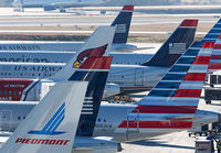 Filename=AMERICAN-TAILS_CLT_1214_JP_small.jpg
Filesize=363KiB
Dimensions=1200x834
Date added=Dec 15, 2014 AMERICAN-TAILS_CLT_1214_JP_small.jpg