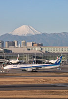 Filename=ANA_777-300_JA786A_HND_0117_JP_small.jpg
Filesize=771KiB
Dimensions=973x1400
Date added=Mar 15, 2020 ANA_777-300_JA786A_HND_0117_JP_small.jpg