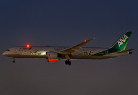 ANA_787-9_JA871A_LAX_1123_1_JP_small.jpg