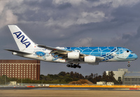 Filename=ANA_A380_JA381A_NRT_0224_1_JP_small1.jpg
Filesize=862KiB
Dimensions=1400x973
Date added=Mar 04, 2024 ANA_A380_JA381A_NRT_0224_1_JP_small1.jpg