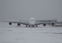 Filename=EMIRATES_A380_A6-EDY_JFK_0115J_JP_small.jpg
Filesize=122KiB
Dimensions=1299x903
Date added=Jun 03, 2016 EMIRATES_A380_A6-EDY_JFK_0115J_JP_small.jpg