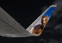 Filename=FRONTIER_A320_N307FR_MIA_1117_3_JP_small.jpg
Filesize=788KiB
Dimensions=1400x973
Date added=Nov 05, 2017 FRONTIER_A320_N307FR_MIA_1117_3_JP_small.jpg