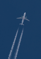 Filename=FRONTIER_A320_N313FR_BUF-MCO_CLT_0118_JP_small.jpg
Filesize=804KiB
Dimensions=973x1400
Date added=Jan 24, 2018 FRONTIER_A320_N313FR_BUF-MCO_CLT_0118_JP_small.jpg