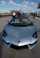Filename=IMG_1898_small.jpg
Filesize=255KiB
Dimensions=695x1000
Date added=Jan 31, 2013 IMG_1898_small.jpg