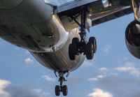 Filename=KLM_A330-300_AMS_0415_JP_small.jpg
Filesize=223KiB
Dimensions=1299x903
Date added=Apr 20, 2015 KLM_A330-300_AMS_0415_JP_small.jpg