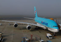 Filename=KOREAN_A380_HL-7613_NRT_1011C_JP_small.jpg
Filesize=148KiB
Dimensions=1000x695
Date added=Dec 06, 2012 KOREAN_A380_HL-7613_NRT_1011C_JP_small.jpg