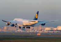 Filename=LUFTHANSA_747-800_D-ABYD_FRA_1113F_JP_small.jpg
Filesize=134KiB
Dimensions=1000x695
Date added=Nov 04, 2013 LUFTHANSA_747-800_D-ABYD_FRA_1113F_JP_small.jpg