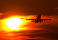 Filename=LUFTHANSA_A340-300_MIA_1009H_JP_small.jpg
Filesize=90KiB
Dimensions=1000x695
Date added=Jun 05, 2013 LUFTHANSA_A340-300_MIA_1009H_JP_small.jpg