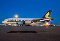 Filename=SINGAPORE_A380_9V-SKA_JFK_0713_JP_small.jpg
Filesize=180KiB
Dimensions=1000x695
Date added=Sep 01, 2013 SINGAPORE_A380_9V-SKA_JFK_0713_JP_small.jpg