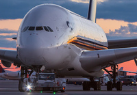Filename=SINGAPORE_A380_9V-SKE_JFK_0913C_JP_small2.jpg
Filesize=958KiB
Dimensions=1400x973
Date added=Jul 30, 2019 SINGAPORE_A380_9V-SKE_JFK_0913C_JP_small2.jpg