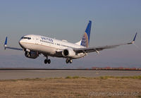 Filename=UNITED_737-800_N37287_SFO_1115_JP_small1.jpg
Filesize=223KiB
Dimensions=1299x903
Date added=May 13, 2016 UNITED_737-800_N37287_SFO_1115_JP_small1.jpg